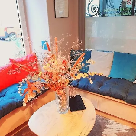 이비스 센터 노트르담 호텔 3*